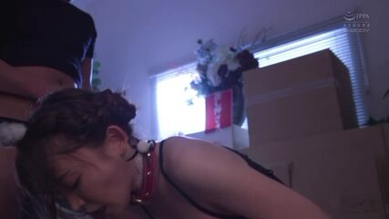 Bankrupt CEO Wife Gone Wild